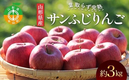 《2026年発送先行予約》山形県産 葉取らず完熟サンふじりんご 秀 約3kg 林檎 リンゴ フルーツ 果物 くだもの 山形県 中山町 F4A-1008