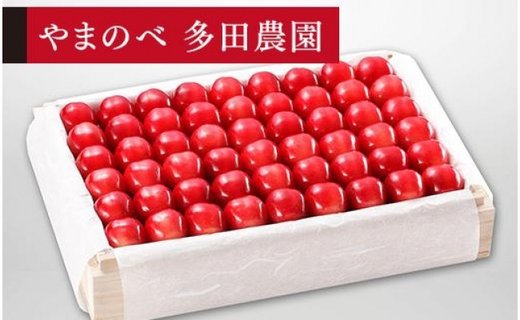 《2026年先行予約》【特選ダイアナブライト】桐箱詰 約1,100g【やまのべ多田耕太郎のさくらんぼ 多田農園】期間限定 数量限定 F4A-0006