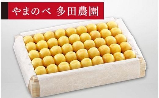 《2026年先行予約》【特選月山錦】桐箱詰 約1,100g【やまのべ多田耕太郎のさくらんぼ 多田農園】期間限定 数量限定 F4A-0007