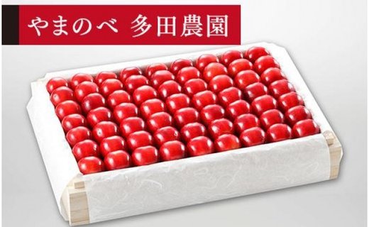 《2026年先行予約》【特選「真夏のルビー紅姫」】桐箱詰 約1,100g【やまのべ多田耕太郎のさくらんぼ 多田農園】期間限定 数量限定 7月中旬より発送 F4A-0008