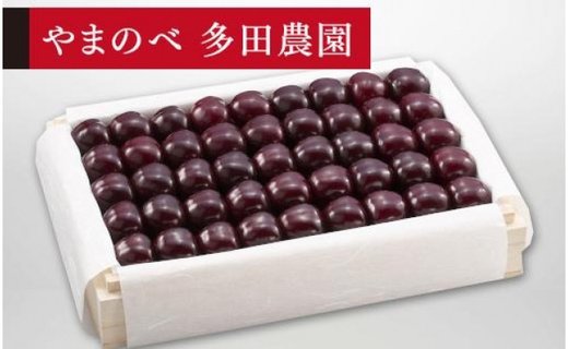 《2026年先行予約》【特選サミット】桐箱詰 約1,100g【やまのべ多田耕太郎のさくらんぼ 多田農園】期間限定 数量限定 F4A-0010