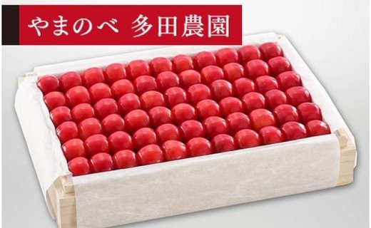 《2025年先行予約》【特選佐藤錦】桐箱詰 約1,100g【やまのべ多田耕太郎のさくらんぼ 多田農園】期間限定 数量限定 F4A-0011