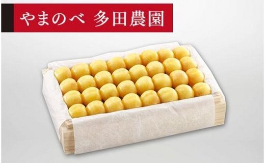 《2026年先行予約》【特選月山錦】桐箱詰 約700g【やまのべ多田耕太郎のさくらんぼ 多田農園】期間限定 数量限定 F4A-0012