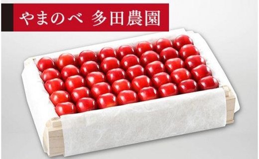 《2026年先行予約》【特選紅秀峰】桐箱詰 約700g【やまのべ多田耕太郎のさくらんぼ 多田農園】期間限定 数量限定 F4A-0014