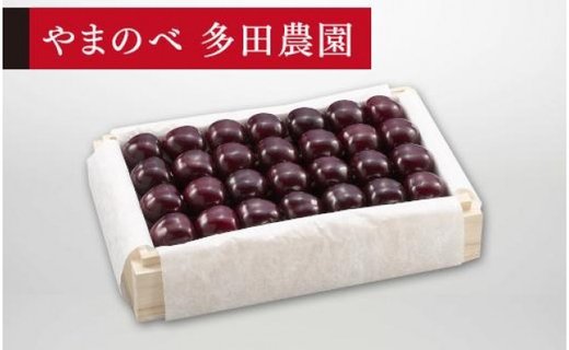 《2026年先行予約》【特選サミット】桐箱詰 約700g【やまのべ多田耕太郎のさくらんぼ 多田農園】期間限定 数量限定 F4A-0017