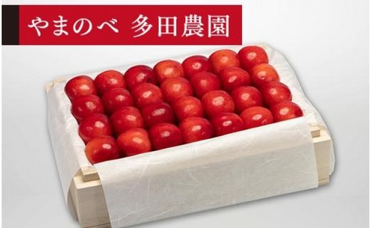 《2026年先行予約》【特選紅秀峰】桐箱詰 約500g【やまのべ多田耕太郎のさくらんぼ 多田農園】期間限定 数量限定 F4A-0021