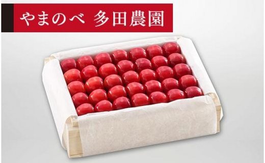《2025年先行予約》【特選佐藤錦】桐箱詰 約500g【やまのべ多田耕太郎のさくらんぼ 多田農園】期間限定 数量限定 F4A-0023