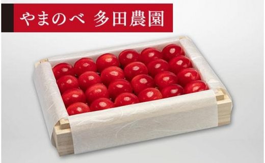 《2026年先行予約》【特選ダイアナブライト】桐箱詰 約300g【やまのべ多田耕太郎のさくらんぼ 多田農園】期間限定 数量限定 F4A-0024