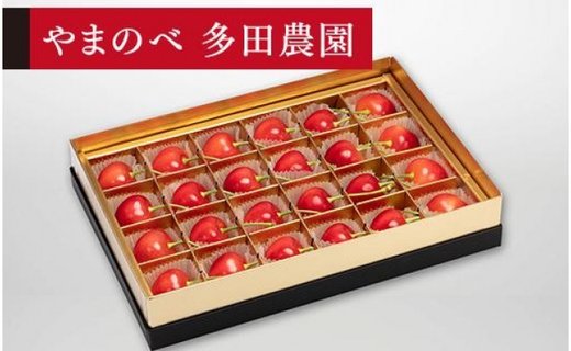 《2026年先行予約》【珠玉のダイアナブライト】みやび箱 24粒【やまのべ多田耕太郎のさくらんぼ 多田農園】期間限定 数量限定 F4A-0027