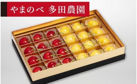 《2025年先行予約》【珠玉の月山錦・紅秀峰】みやび箱 24粒【やまのべ多田耕太郎のさくらんぼ 多田農園】期間限定 数量限定 F4A-0028