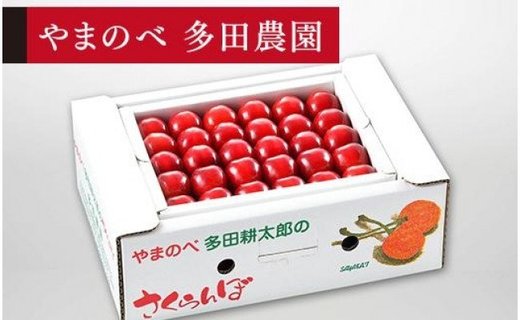 《2026年先行予約》【真夏のルビー紅姫】手詰 約500g【やまのべ多田耕太郎のさくらんぼ 多田農園】期間限定 数量限定 7月中旬より発送 F4A-0029