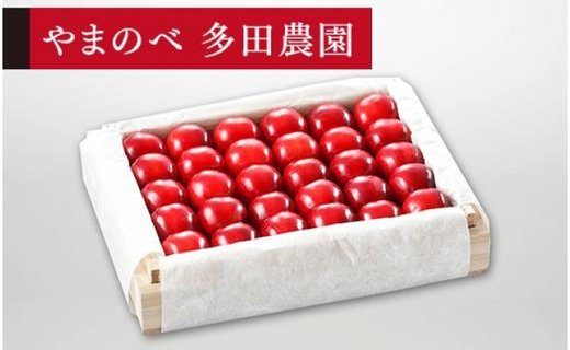 《2026年先行予約》【特選「真夏のルビー紅姫」】桐箱詰 約300g【やまのべ多田耕太郎のさくらんぼ 多田農園】期間限定 数量限定 7月中旬より発送 F4A-0030