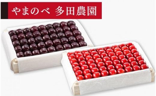 《2026年先行予約》【紅姫・サミット】特選桐箱詰 約1,100g×2【やまのべ多田耕太郎のさくらんぼ 多田農園】期間限定 数量限定　7月中旬より発送 F4A-0038