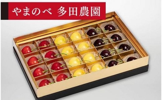 《2026年先行予約》【珠玉の月山錦・紅秀峰・サミット】みやび箱 24粒【やまのべ多田耕太郎のさくらんぼ 多田農園】期間限定 数量限定 F4A-0041