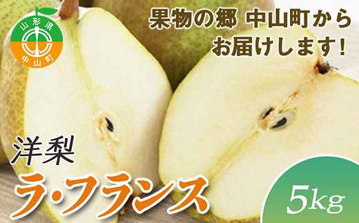 【2026年先行予約】果物の郷 中山町からお届けします！洋梨「ラ・フランス」期間限定 数量限定 ラフランス 洋ナシ 洋なし F4A-0055