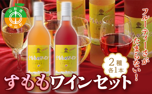 フルーティーさがたまらない！「すももワインセット」 アルコール お酒 果実酒 F4A-0056