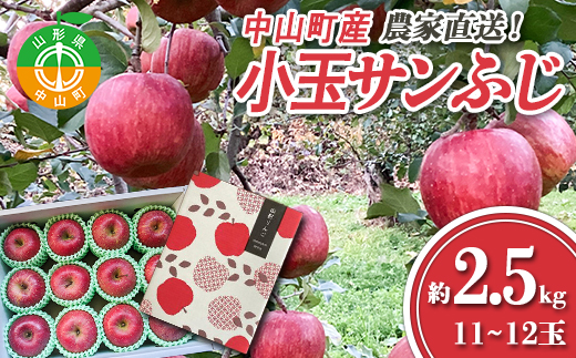 ≪2025年先行予約≫ 農家直送 山形県中山町産 小玉サンふじりんご 約2.5kg（11~12玉） 数量限定 渡辺ファーム数量限定 渡辺ファーム 渡辺ファーム 山形県産 リンゴ 林檎 フルーツ 果物 くだもの F4A-0079