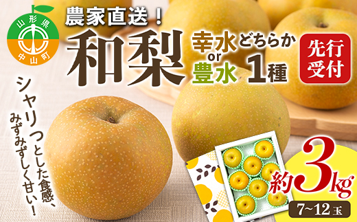 【2026年先行予約】農家直送「和梨」約3kg 中山町 渡辺ファーム F4A-0261