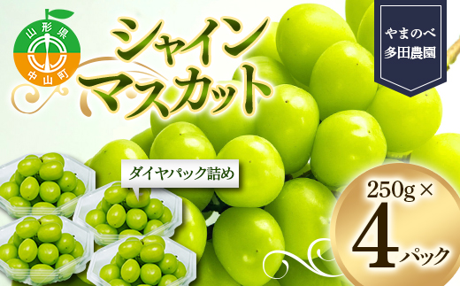 シャインマスカット ダイヤパック 250g×4パック やまのべ多田農園のぶどう F4A-0347