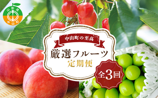 《2025年5月発送開始》中山町の至高！中山町厳選フルーツ定期便 全3回 紅さやか 白桃 シャインマスカット さくらんぼ サクランボ 葡萄 ぶどう ブドウ 桃 もも モモ 山形県産 フルーツ 果物 くだもの 連続 F4A-0373