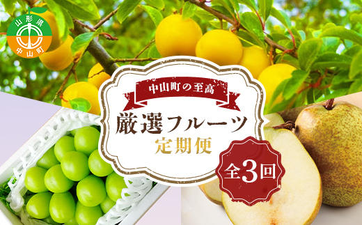 中山町の至高！ 山形県中山町 厳選フルーツ定期便 全3回 【2025年8月発送開始】 F4A-0384