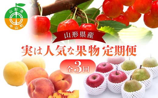 2026年度発送【定期便 3回】山形県産 実は人気な果物定期便 くだもの フルーツ さくらんぼ 紅秀峰 桃 もも ラ・フランス ラフランス 洋梨 梨 りんご サンふじ 山形県 中山町 F4A-0419
