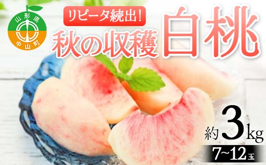《2026年先行予約》山形県産 リピータ続出！秋の収穫 白桃 約3kg（7～12玉） 桃 もも フルーツ 果物 くだもの 山形県 中山町 F4A-0427