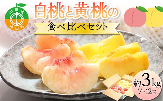 《2026年先行予約》どちらも食べたい！白桃と黄桃の食べ比べセット 約3kg（7～12玉） 桃 もも フルーツ 果物 くだもの 山形県 中山町 F4A-0430