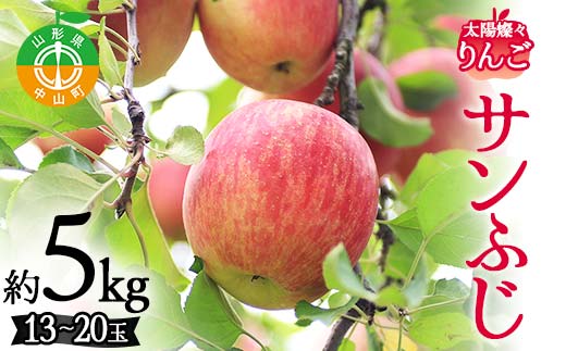 2026年度先行予約 山形県産 太陽燦々★サンふじりんご 約5kg（13～20玉） りんご 林檎 フルーツ 果物 くだもの 山形県 中山町 F4A-0438
