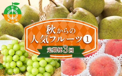 2026年先行予約 【定期便 3回】秋からの人気フルーツ定期便(1) 白桃 シャインマスカット ぶどう 葡萄 ラ・フランス 梨 洋梨 果物 フルーツ 山形県 中山町 F4A-0447