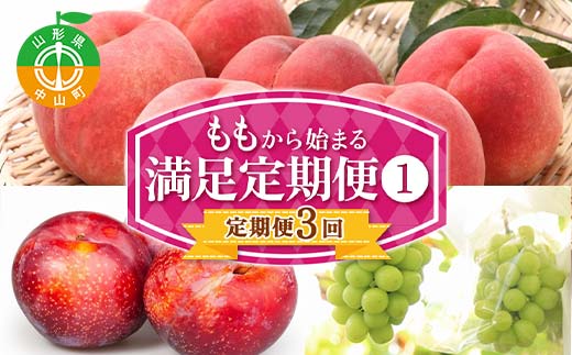 2026年先行予約 【定期便 3回】桃から始まる満足定期便(1) 桃 もも 白桃 すもも 秋姫 シャインマスカット 果物 フルーツ 山形県 中山町 F4A-0451