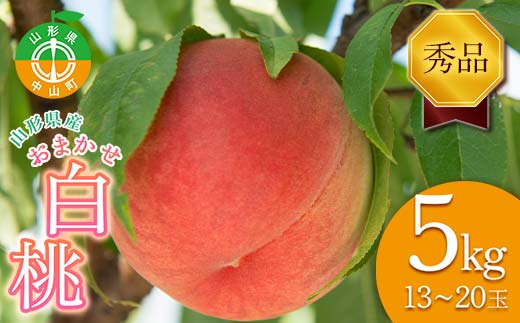 ≪2026年先行予約≫山形県産 おまかせ白桃5kg(13～20玉) 秀品 2026年8月下旬から順次発送 柔らかくなる桃 桃 もも モモ 果物 フルーツ 夏果実 山形県 中山町 F4A-0528