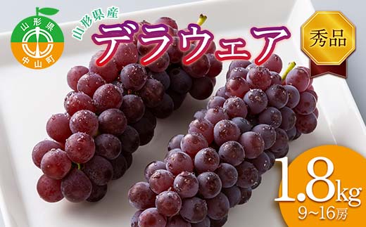 ≪2026年先行予約≫山形県産 デラウェア 1.8kg(9～16房) 秀品 2026年8月上旬から順次発送 種無し 食べやすい ぶどう ブドウ 葡萄 くだもの 果物 フルーツ 夏果実 数量限定 F4A-0529