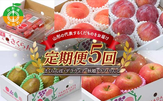 《先行予約》2026年度発送【山形県産フルーツ定期便5回】さくらんぼ・白桃・秋姫・ラ・フランス・りんご  F4A-0992