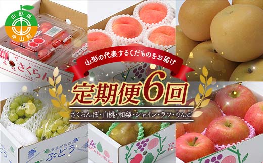 《先行予約》2026年度発送【山形県産フルーツ定期便6回】さくらんぼ・白桃・和梨・シャインマスカット・ラ・フランス・りんご  F4A-0993