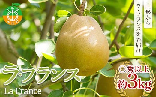《先行予約》2026年度発送 山形県産 ラフランス○秀品以上約3kg  F4A-0994