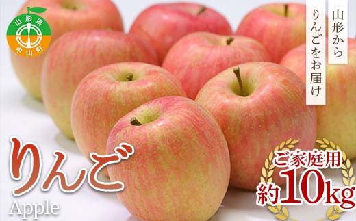 《先行予約》2026年度発送 山形県産 ご家庭用りんご10kg  F4A-0995