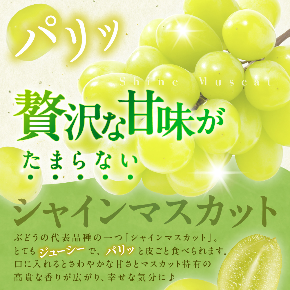 令和8年産【はじまり農園 うの】大粒 シャインマスカット２房（約700g×2房） 山形県河北町産 【河北町観光物産協会】 ka002-004-r8