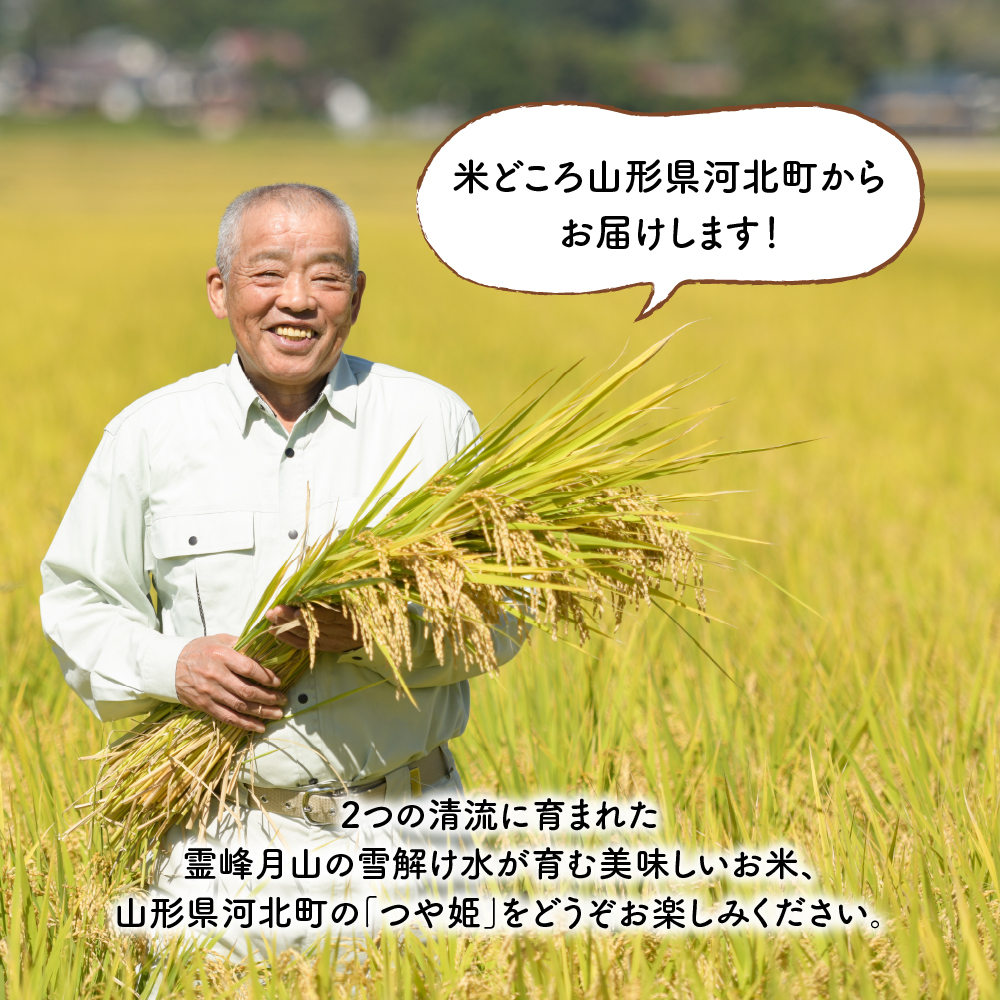 令和6年産米】2025年4月中旬発送 特別栽培米 つや姫5kg 山形県産 【JA