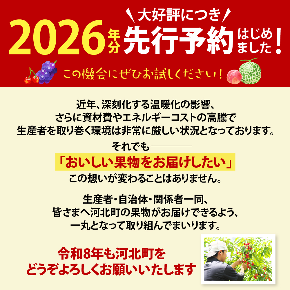 ※2026年発送※【令和8年産】山形県産 8種類 旬のフルーツ定期便（計8回） さくらんぼ ぶどう 桃 メロン等 ka008-100e008-r8