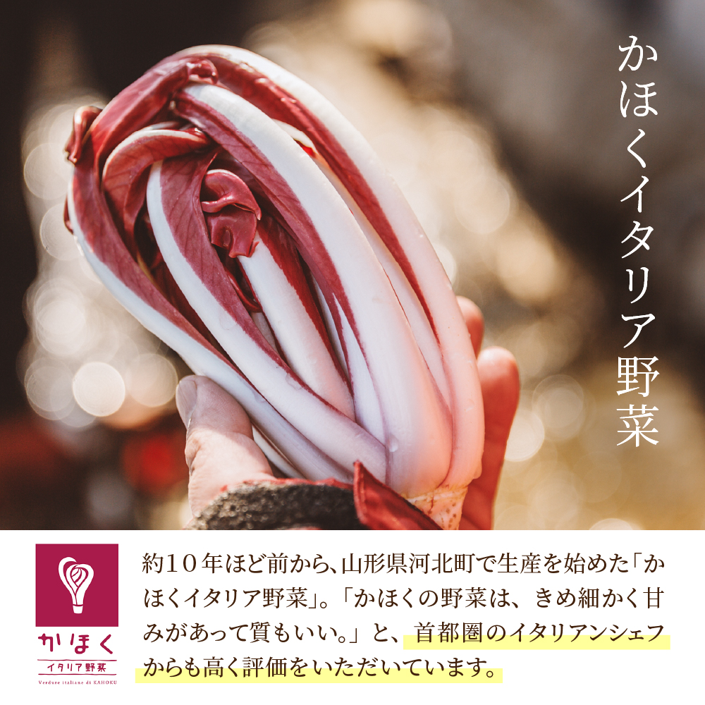 かほくイタリア野菜旬のおまかせBOX（約8～10種類） 野菜の説明&おしゃれな料理が簡単に作れちゃうレシピ付き♪ 8～10種類