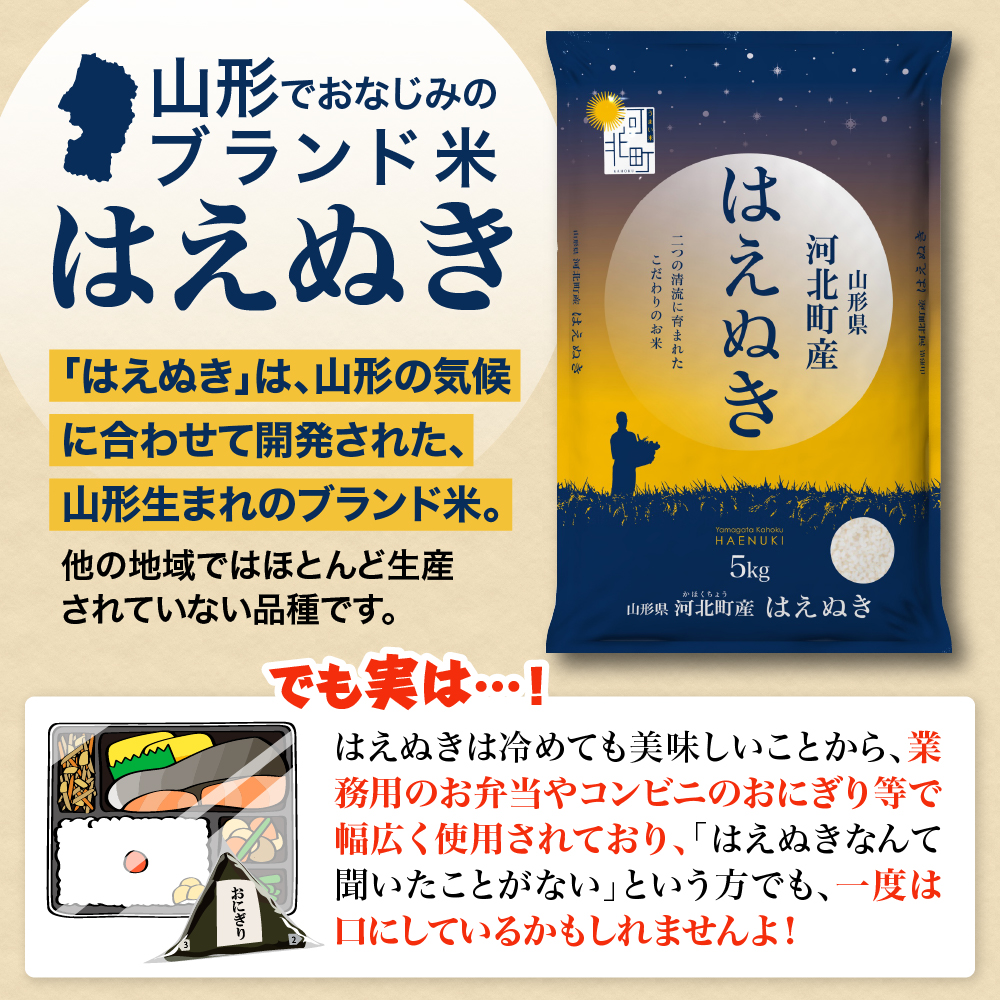 【令和8年産米】2027年1月上旬発送 はえぬき10kg 山形県産 【米COMEかほく協同組合】 2027年1月上旬発送
