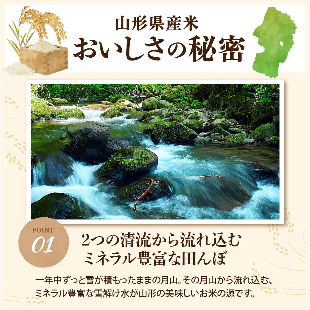【令和7年産米】2026年4月上旬発送 特別栽培米 つや姫 20kg（5kg×4袋）山形県産 【米COMEかほく協同組合】 ka024-049d-r7-041 2026年4月上旬発送
