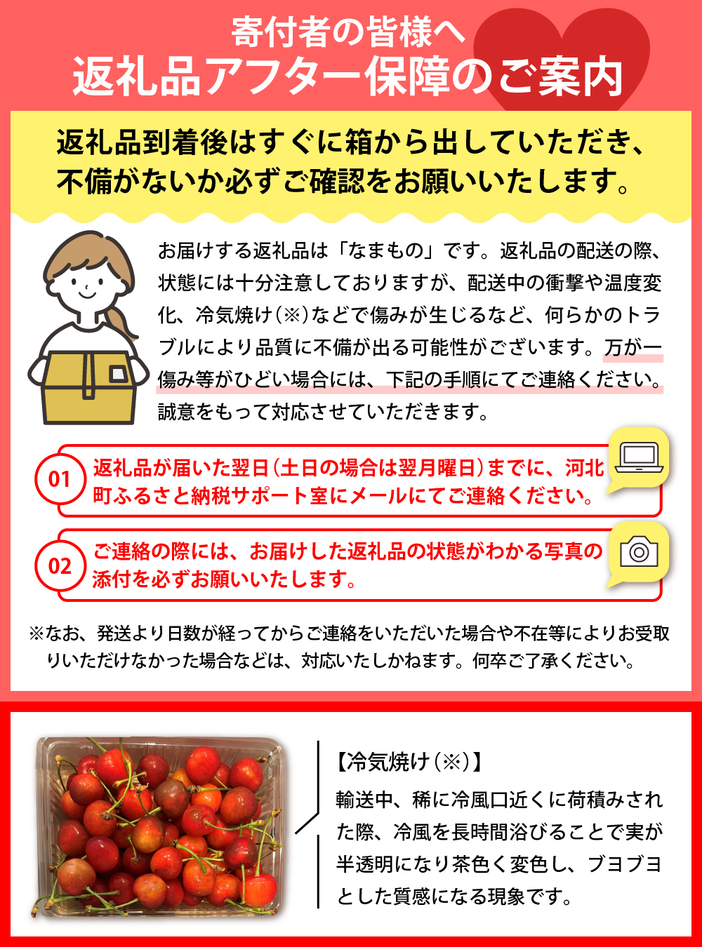 【2026年産先行予約】さくらんぼ紅秀峰 秀以上 2L 1kg以上(500gバラ詰め×2パック)山形県河北町産【晴天畑】