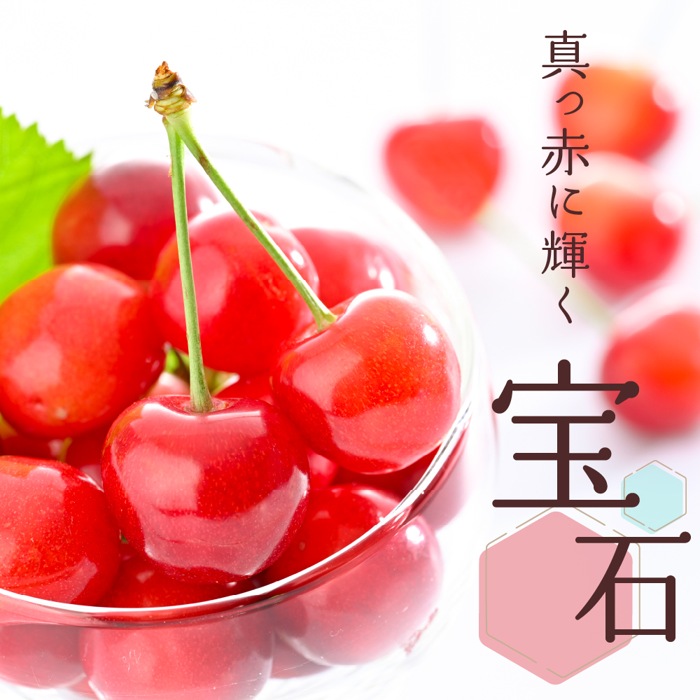 【令和8年産】さくらんぼ 佐藤錦 500g L玉以上 ギフト箱入 秀品 山形県産【山形eLab】フルーツ 人気 贈答 ふるさと納税 河北町 2026年産 ka074-032