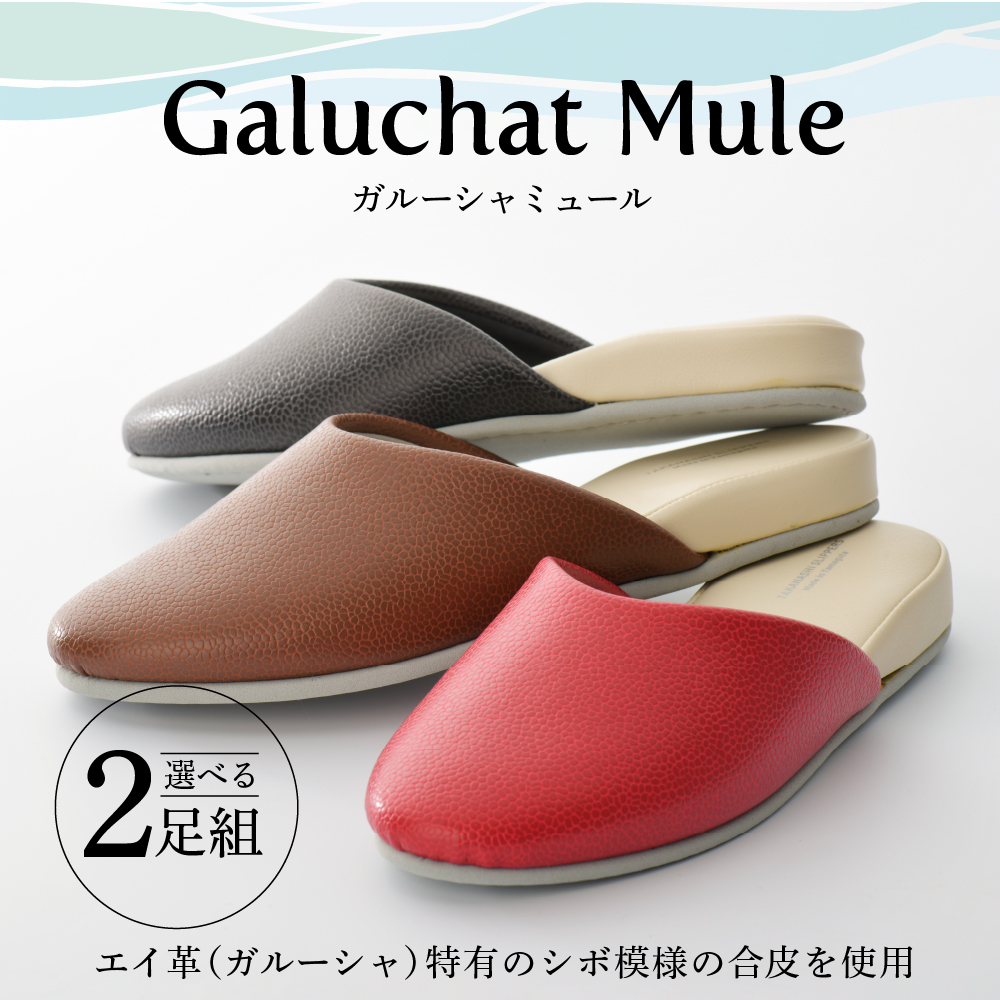 ガルーシャミュール (2足セット）