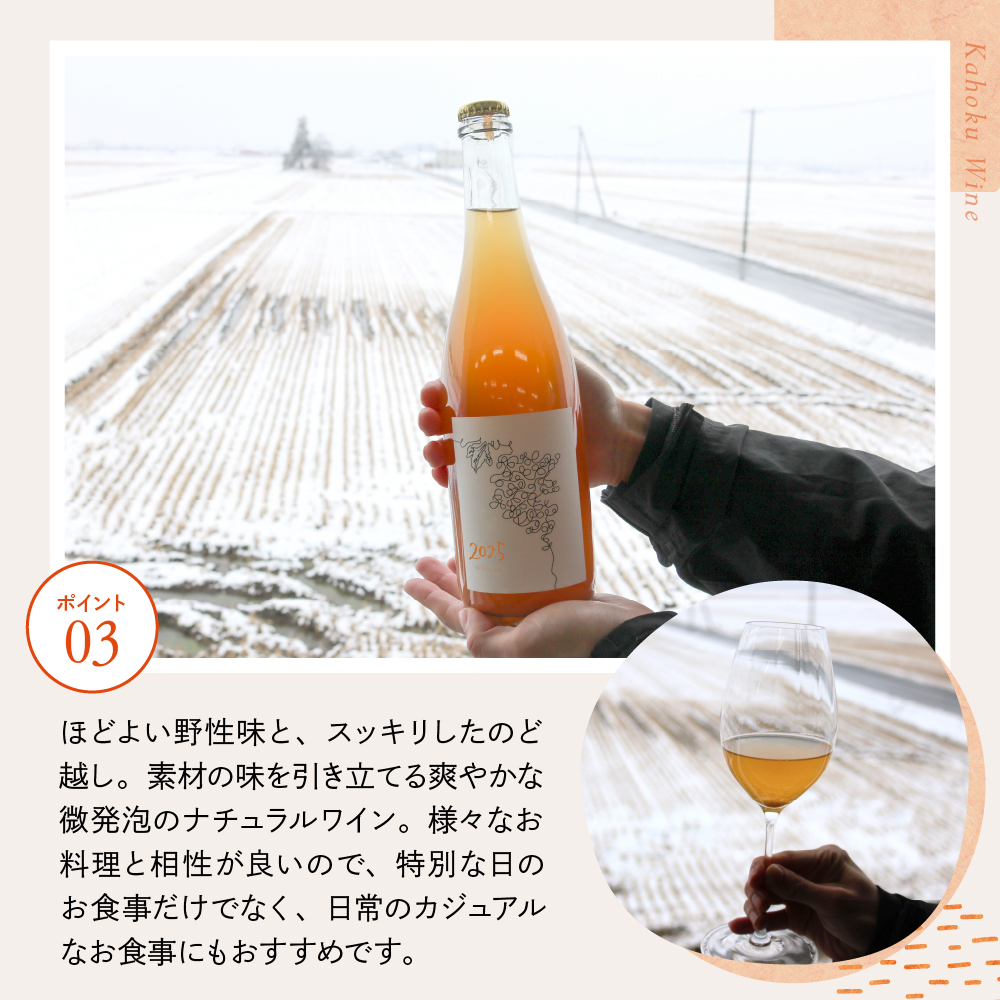 【河北町産ぶどう100％使用・微発泡デラウェアワイン】Delaware 2025（750ml×1本）【かほくらし社】 ワイン デラウェア 贈答 100％ ナチュラルワイン ka019-012j001-2025