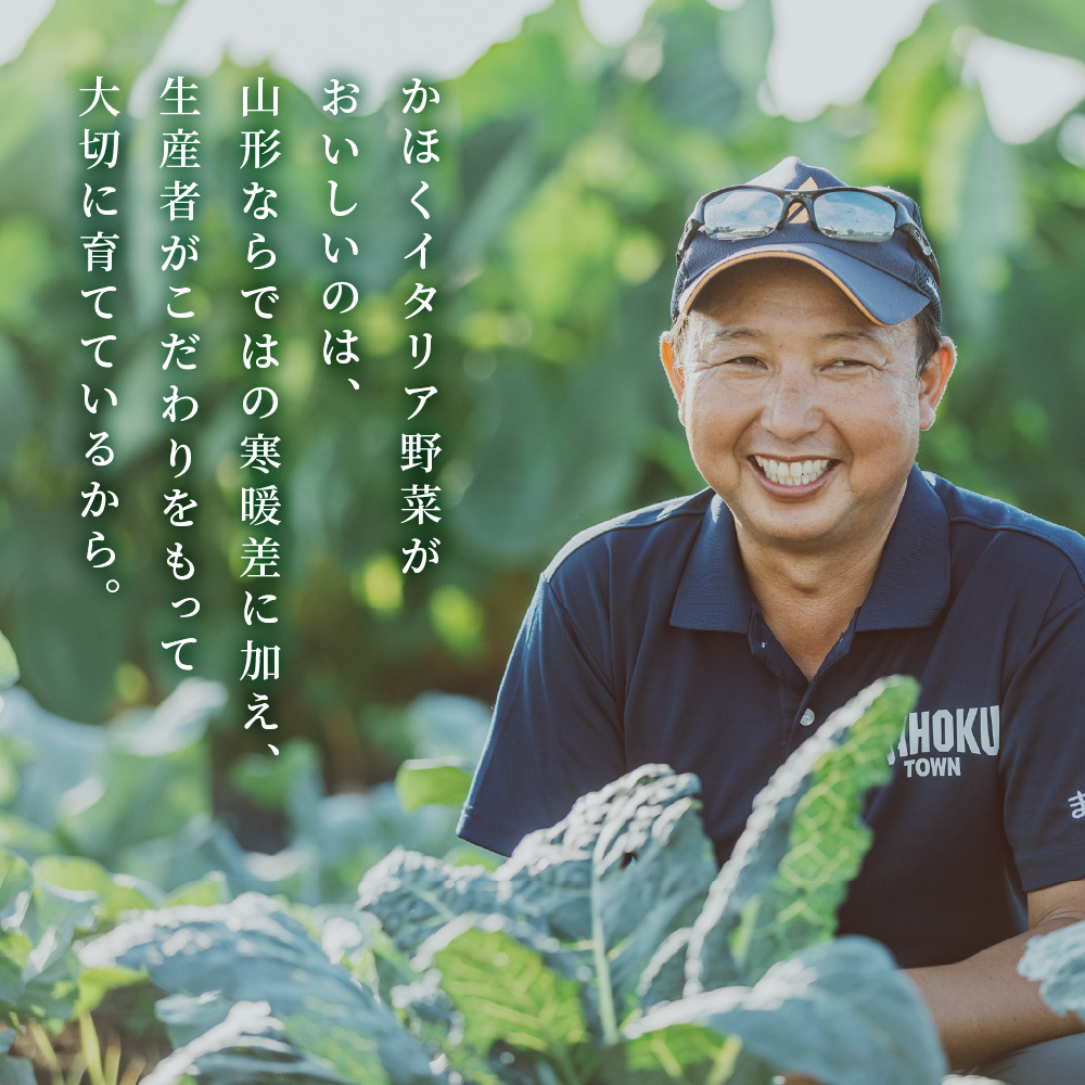 かほくイタリア野菜旬のおまかせBOX（約8～10種類） 野菜の説明&おしゃれな料理が簡単に作れちゃうレシピ付き♪ 8～10種類