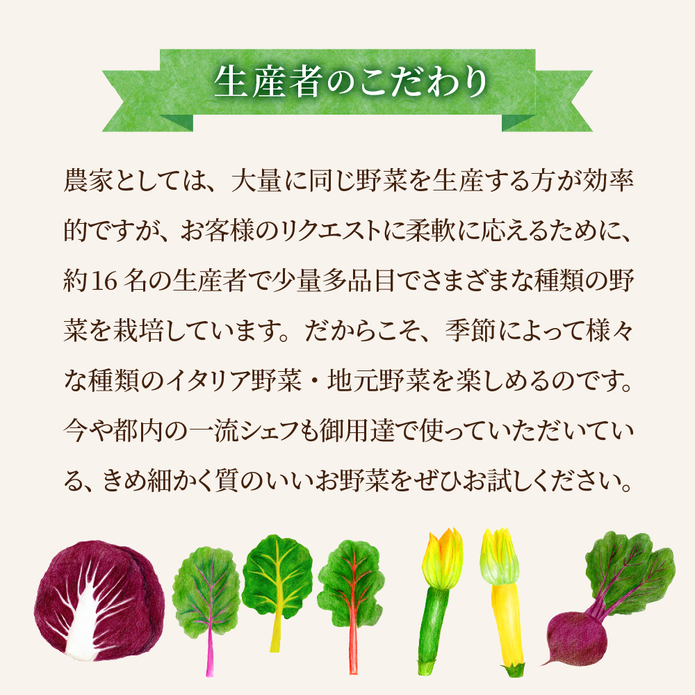 ※2026年7月発送スタート※【計4回定期便】山形県かほくの季節のイタリア野菜・地元野菜のおまかせセット【かほくらし社】 ka019-052f001-r8