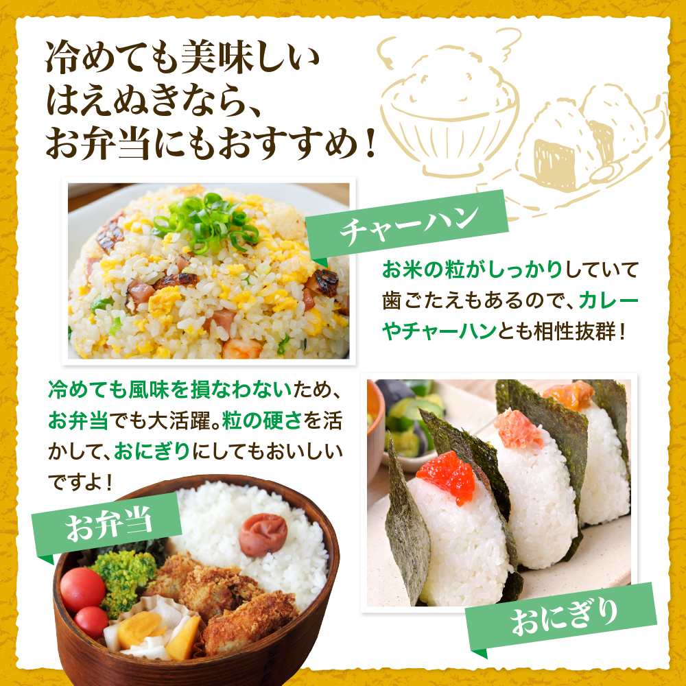 【令和8年産米】2027年1月上旬発送 はえぬき10kg 山形県産 【米COMEかほく協同組合】 2027年1月上旬発送